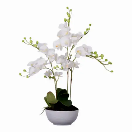 Extra Large Real Touch White Orchid Plant In Ceramic Pot - 81cm Tall - The Furniture Mega Store 