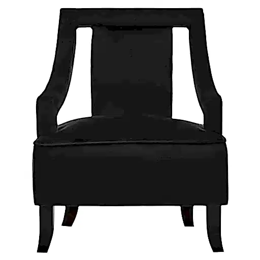 Faye Black Velvet Accent Chair - The Furniture Mega Store