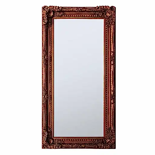 Carved Louis Leaner Mirror Gold - The Furniture Mega Store 