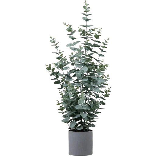 Large Potted Artificial Eucalyptus Bush - The Furniture Mega Store 