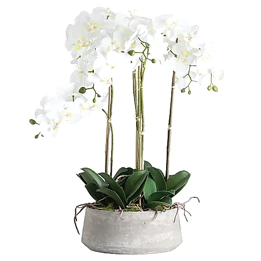 Tall 90cm White Orchid Phalaenopis In Grey Stone Pot - The Furniture Mega Store 