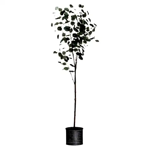 Large Eucalyptus Tree In Metallic Pot - The Furniture Mega Store 