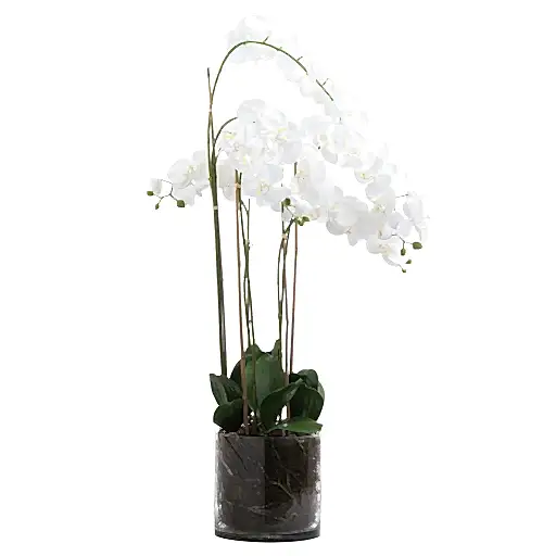 Extra Large White Artificial Orchid In Glass Pot - 126cm Tall - The Furniture Mega Store 
