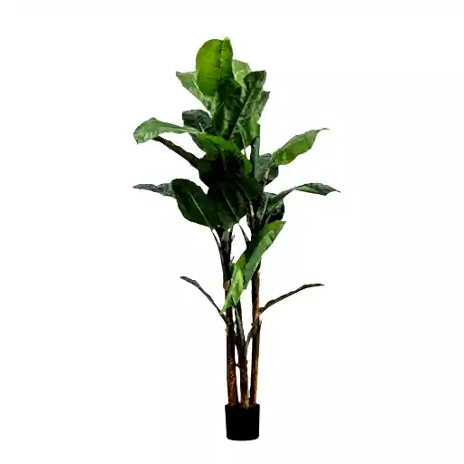 Extra Large Artificial Banana Palm - 203cm Tall - The Furniture Mega Store 