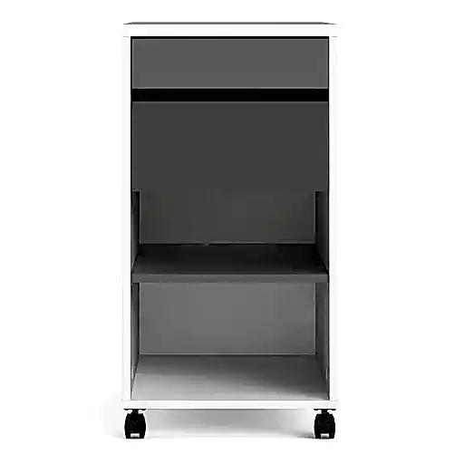 Function Plus Mobile file cabinet 2 drawers + 1 shelf - The Furniture Mega Store 