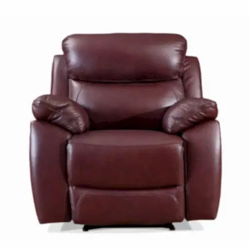 Dallas Leather Recliner Armchair Collection - Choice Of Manual or Power Function - The Furniture Mega Store
